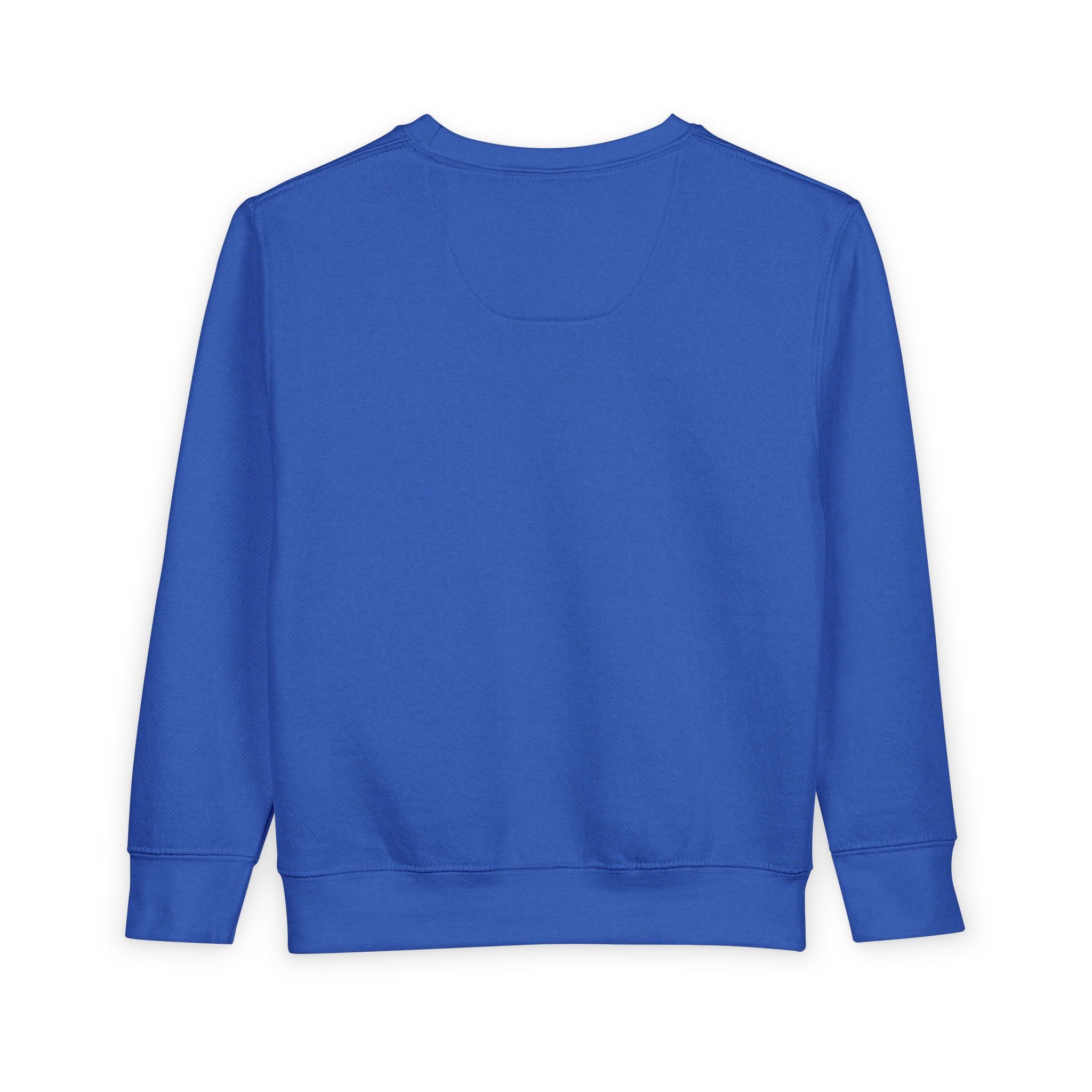 Playful Pup Toddler Sweatshirt — Cute Puppy Graphic "Playful Pup! Woof"