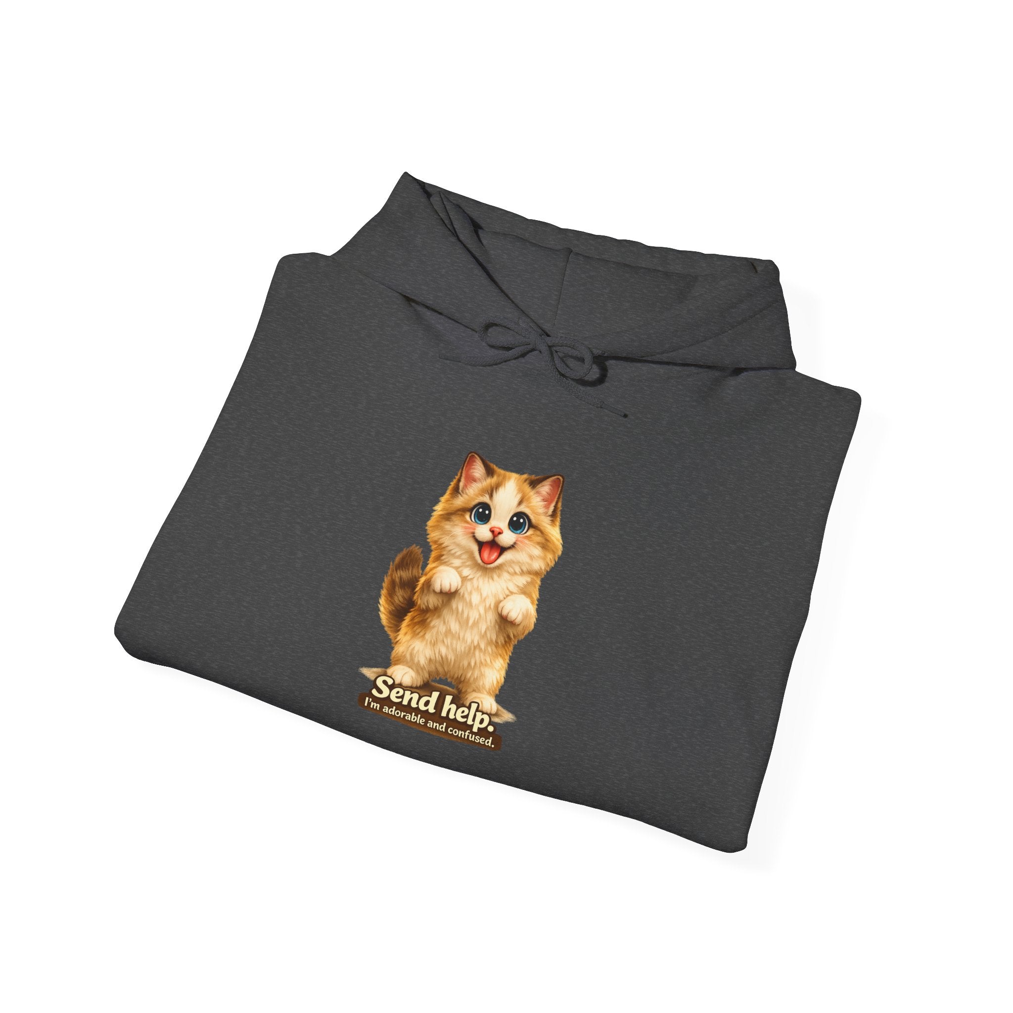 Send Help — Adorable & Confused Kitten Hoodie