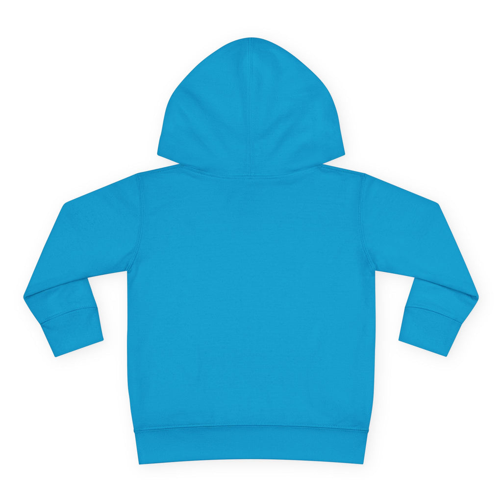 Toddler Hoodie - "Santa's Little Chaos Coordinator" Christmas Pullover