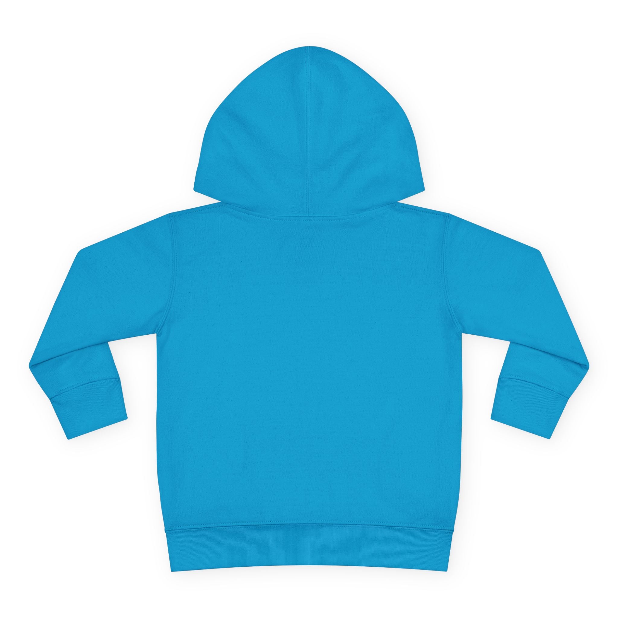 Toddler Hoodie - "Santa's Little Chaos Coordinator" Christmas Pullover