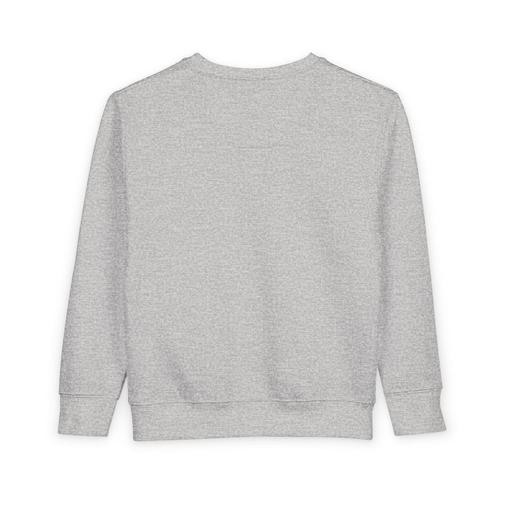 Toddler Sweatshirt - "Santa's Little Chaos Coordinator" Christmas Elf Pullover